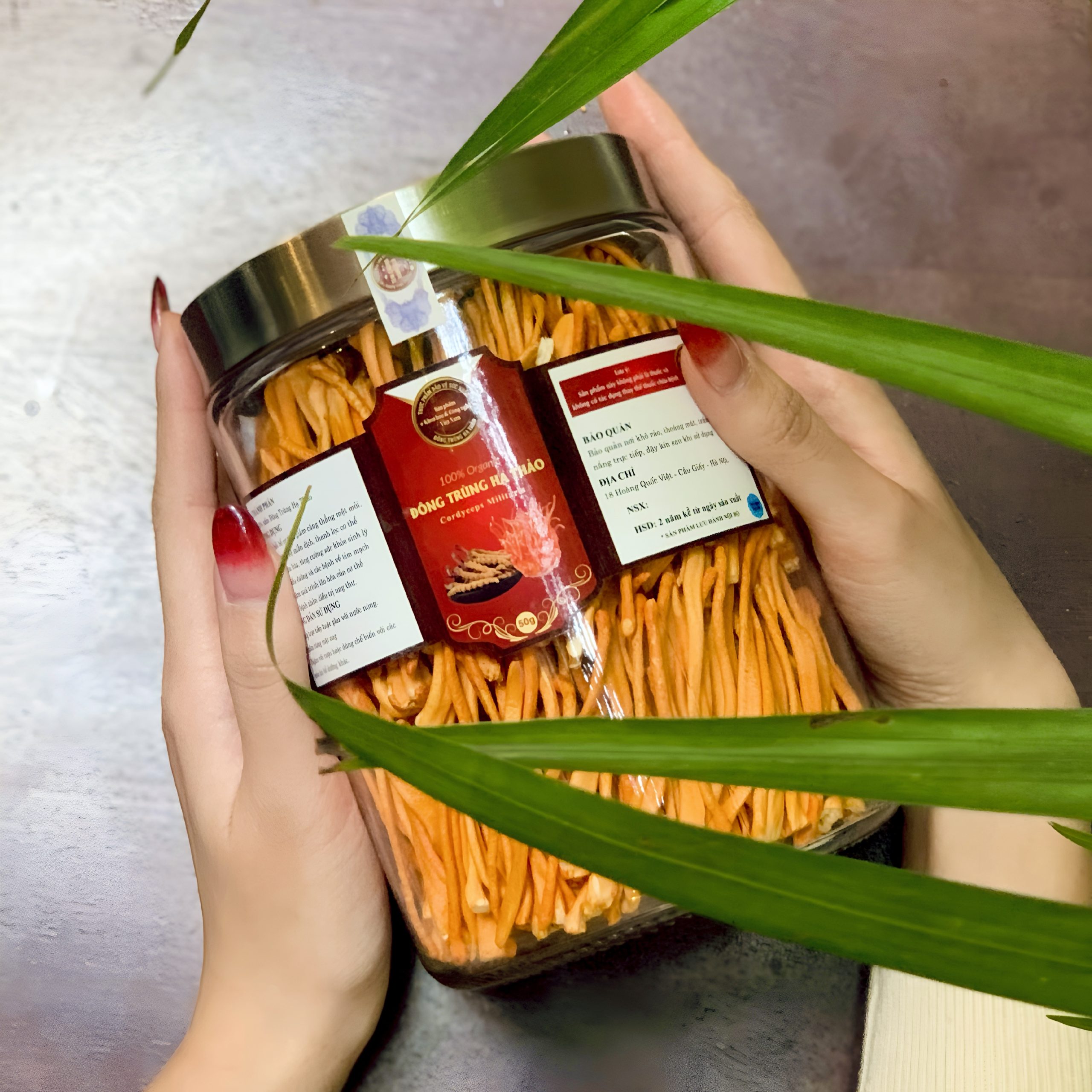 Đông Trùng Hạ Thảo sấy thăng hoa loại 1 - Hình ảnh 4