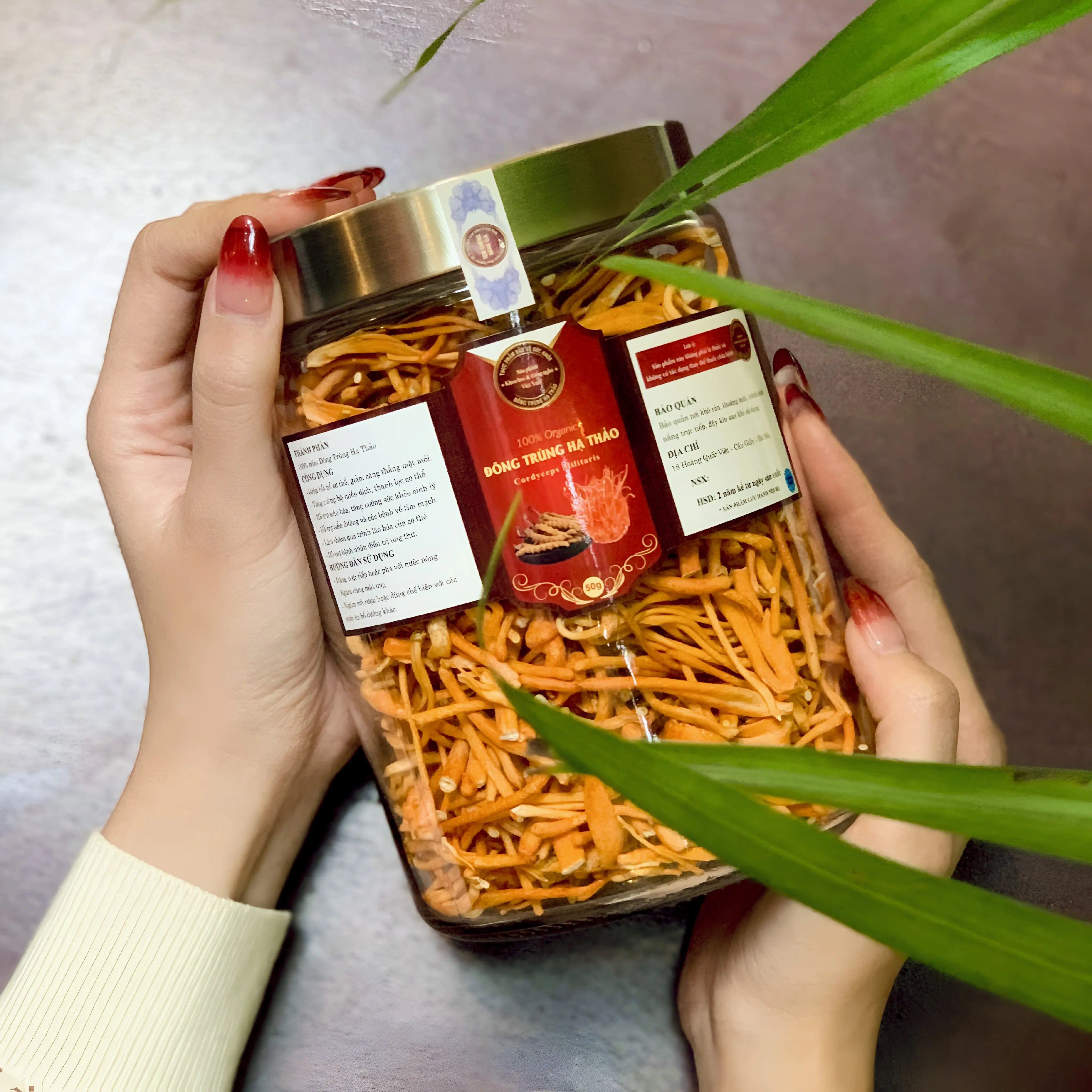 Đông Trùng Hạ Thảo sấy thăng hoa loại 2