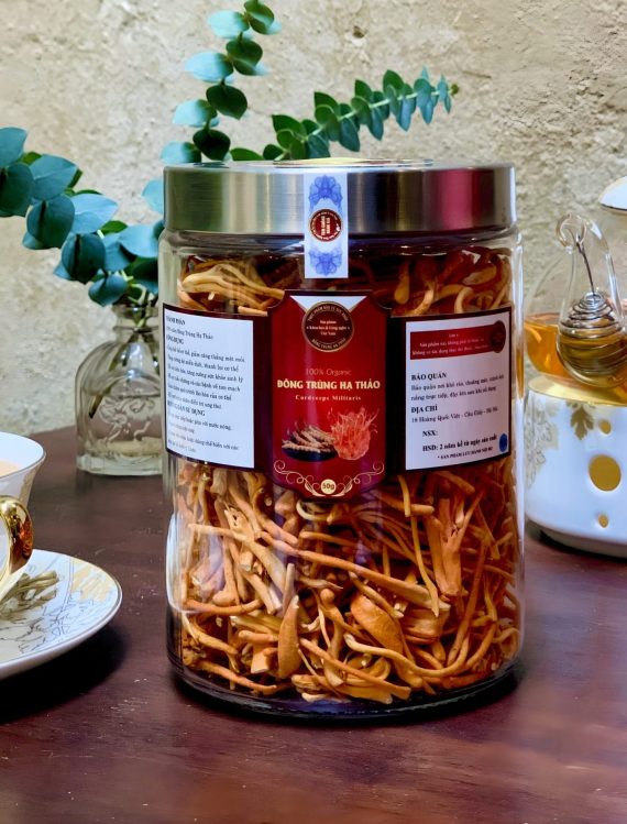 Đông Trùng Hạ Thảo sấy thăng hoa loại 2 - Hình ảnh 4