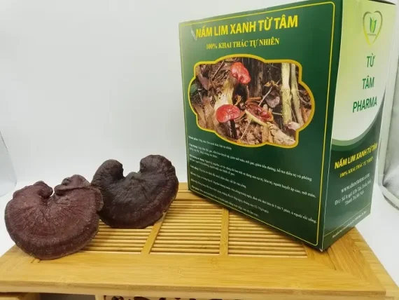 Nấm Lim Xanh - Hình ảnh 3