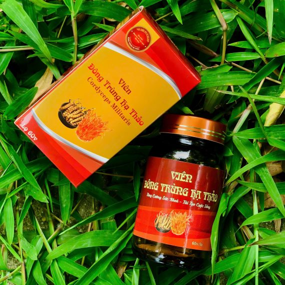 Đông Trùng Hạ Thảo viên - Hình ảnh 2