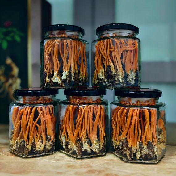Đông Trùng Hạ Thảo ký chủ nhộng tằm - Hình ảnh 6