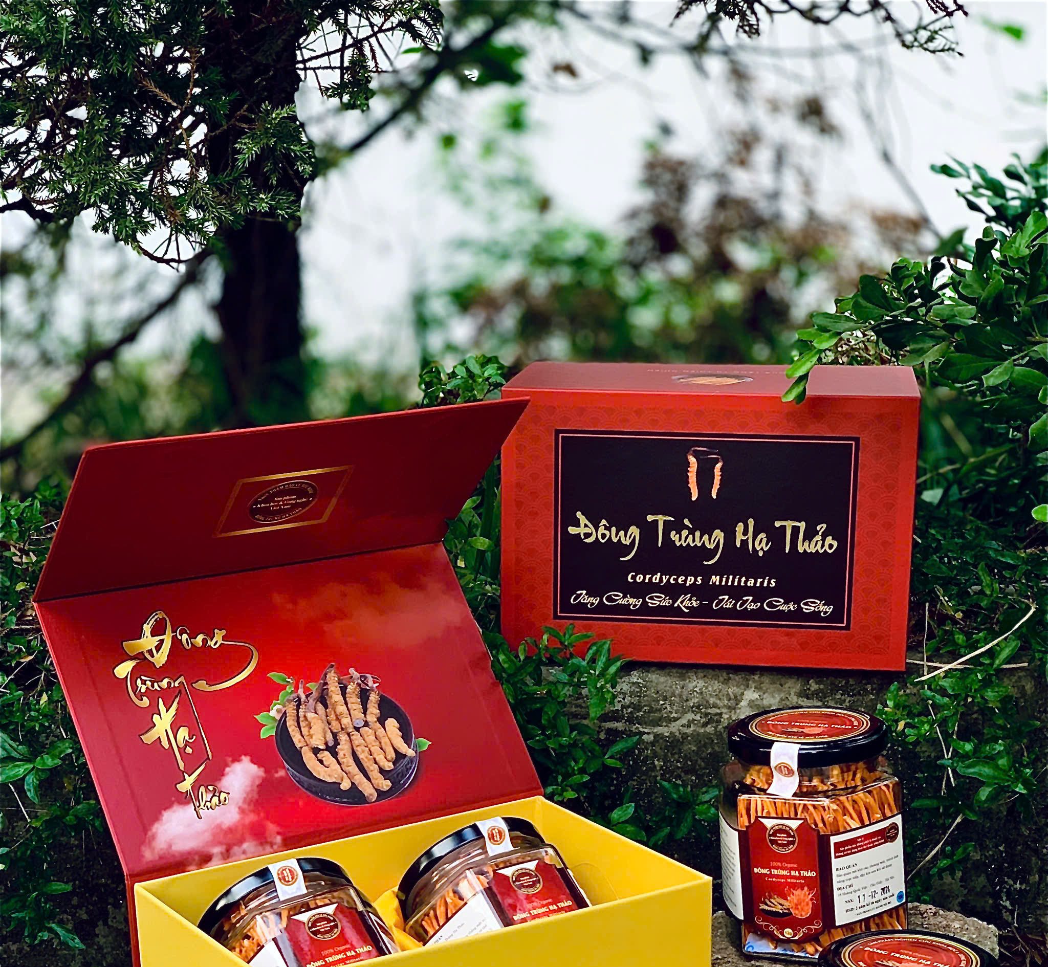 Set quà Đông Trùng Hạ Thảo đôi - Hình ảnh 4