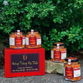 Set quà Đông Trùng Hạ Thảo đôi