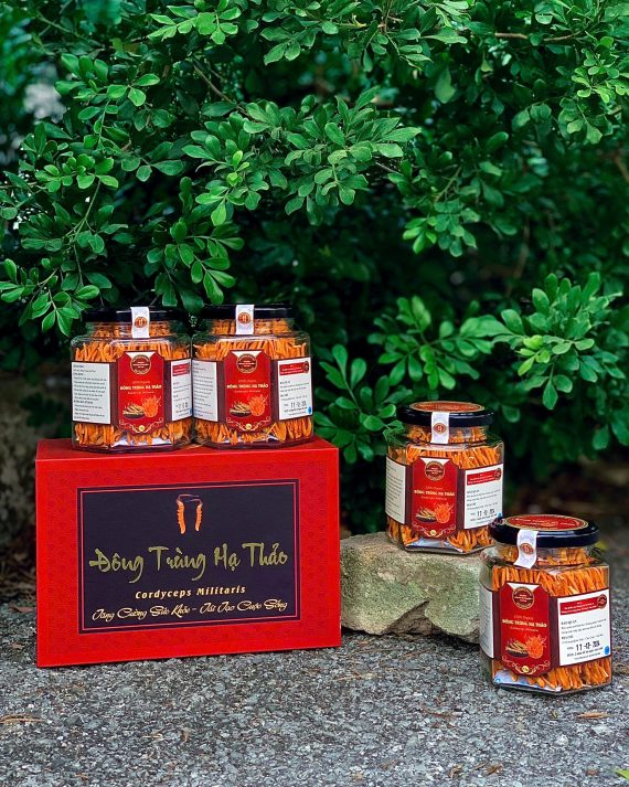 Set quà Đông Trùng Hạ Thảo đôi