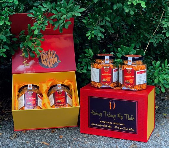 Set quà Đông Trùng Hạ Thảo đôi - Hình ảnh 3