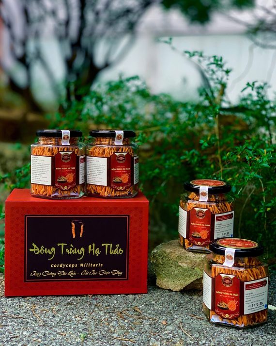 Set quà Đông Trùng Hạ Thảo đôi - Hình ảnh 2