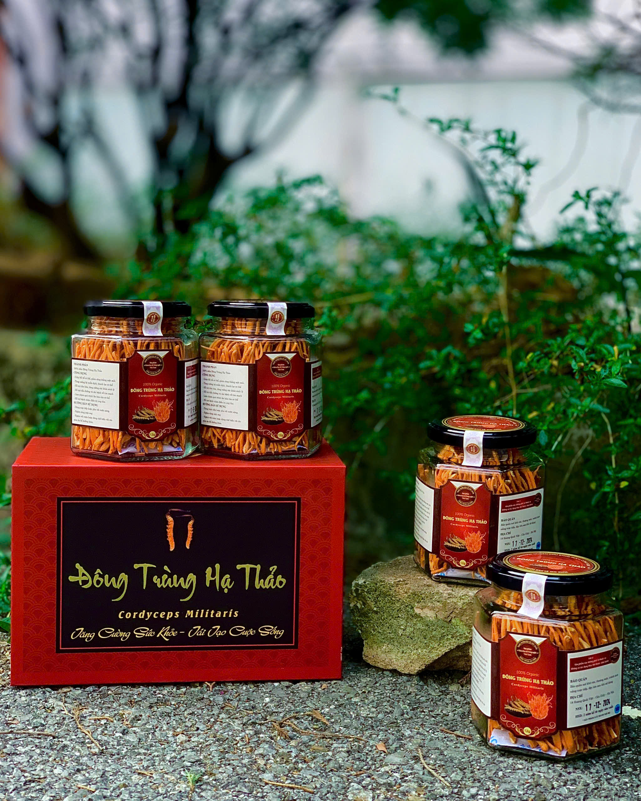 Set quà Đông Trùng Hạ Thảo đôi - Hình ảnh 2
