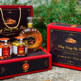 Set quà Đông Trùng Hạ Thảo, trà hoa vàng, rượu