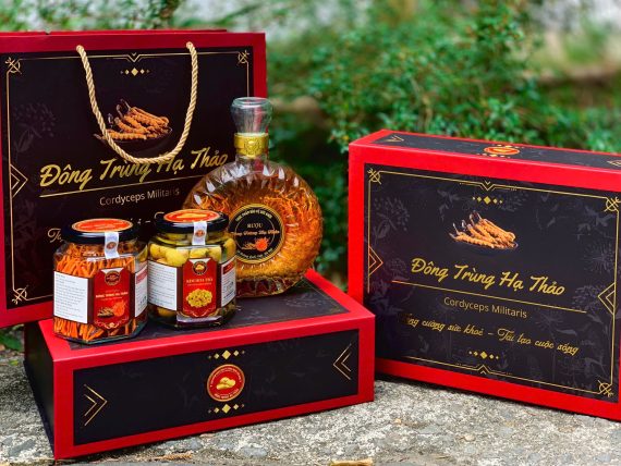 Set quà Đông Trùng Hạ Thảo, trà hoa vàng, rượu