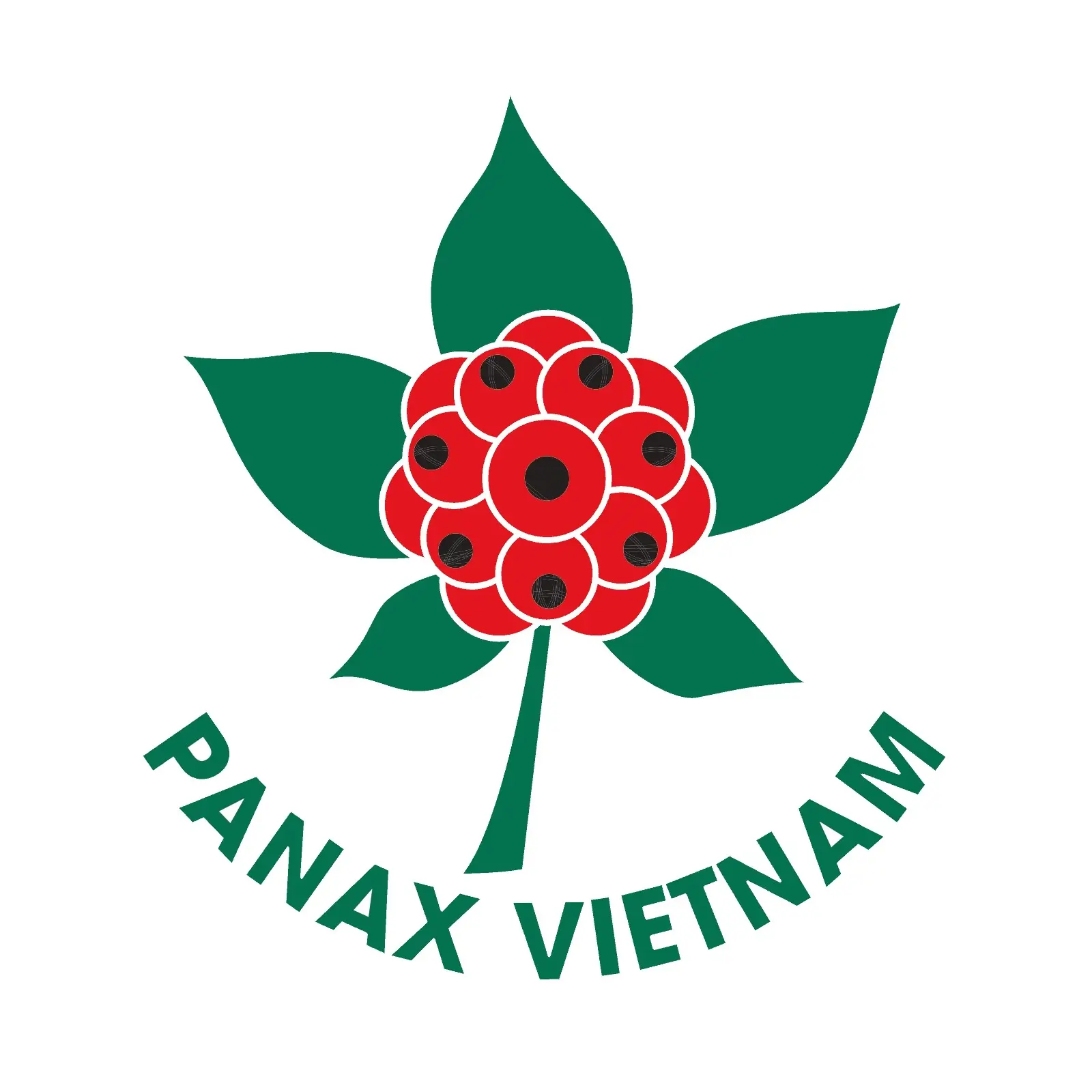 logo-PanaxVN logo-PanaxVN